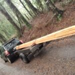 d2ceb1d2-a2a7-4781-bd2c-4b026852a271